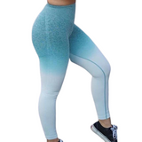 Ombre Seamless Leggings [HIGH WAISTED]