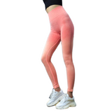 Ombre Seamless Leggings [HIGH WAISTED]