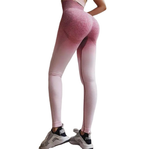 Ombre Seamless Leggings [HIGH WAISTED]