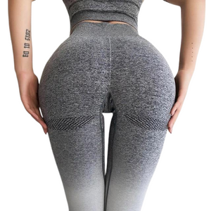 Ombre Seamless Leggings [HIGH WAISTED]