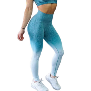 Ombre Seamless Leggings [HIGH WAISTED]